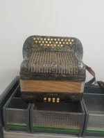 accordéon hohner diatonique 8 basses 