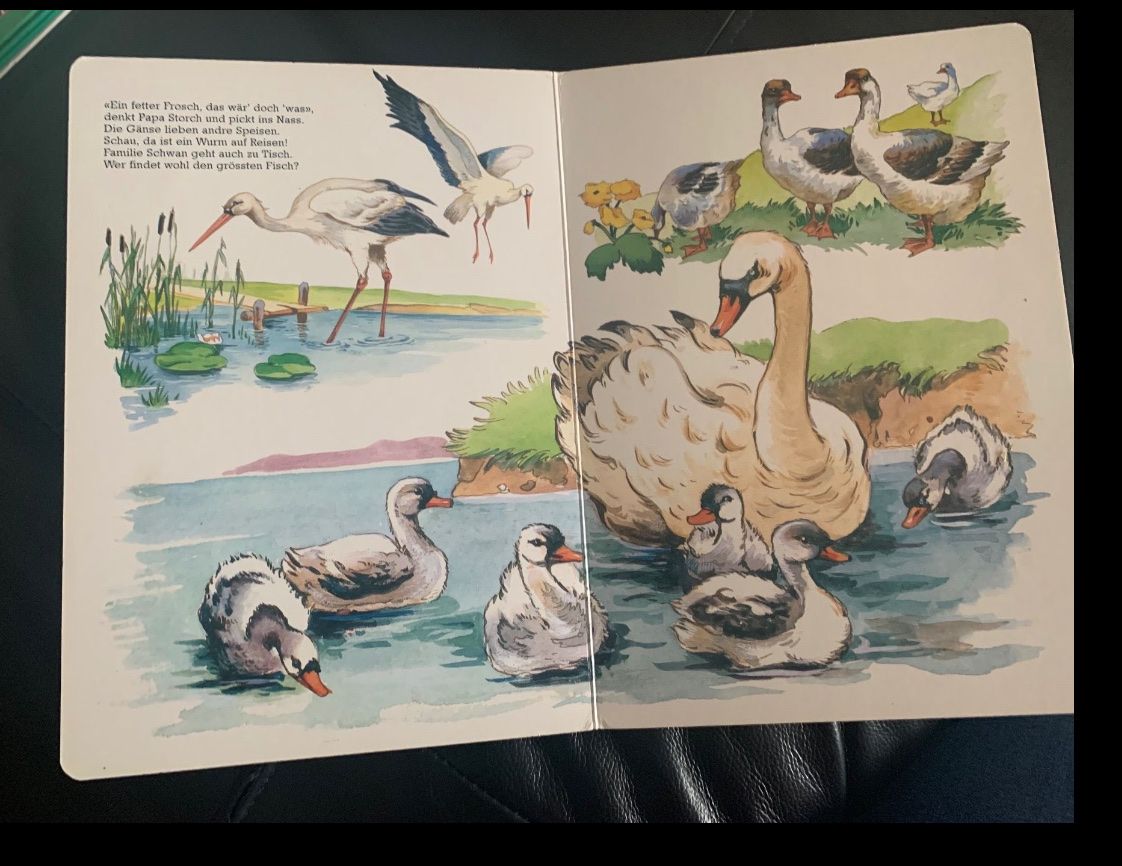 Libri: Altes Kinderbuch / Bilderbuch Unsere Lieblinge – Usato da Beromünster venduto da msklef 5