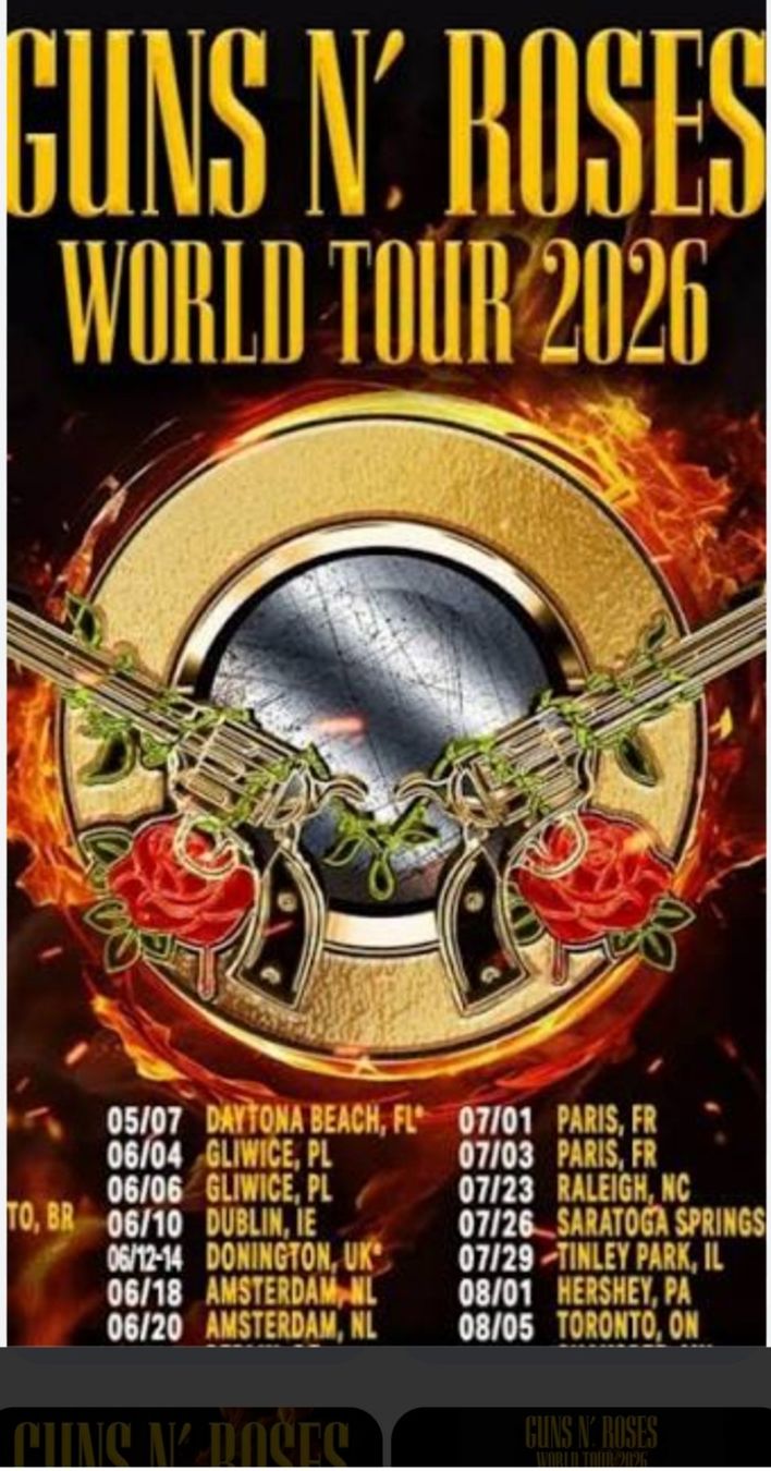 Biglietti: Concert gun'n Roses – Usato da Prilly venduto da AMT5