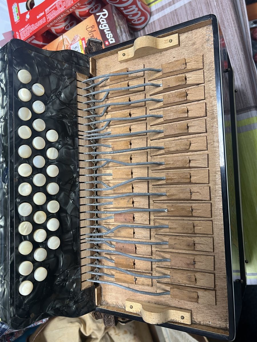 Musikinstrumente: Nussbaumer Diatonisch 4 Chörig Top  – Gebraucht aus Rothrist von Tessin1973 7