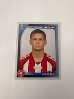 Panini UEFA Champions League 2008-2009 - Nr. 28