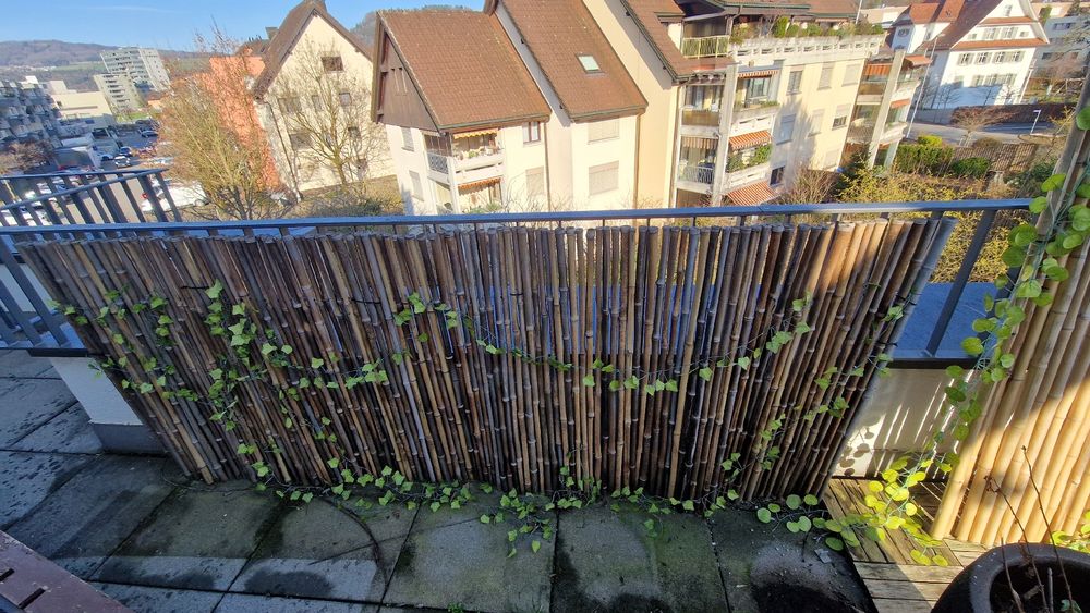 2x Bambus Sichtschutz Balkon Terrasse Garten (Gebraucht) in Baar fr CHF 27   nur Abholung auf Ricardo kaufen