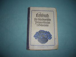 Lesebuch Primarschule 2. Schuljahr guter Zustand 1913