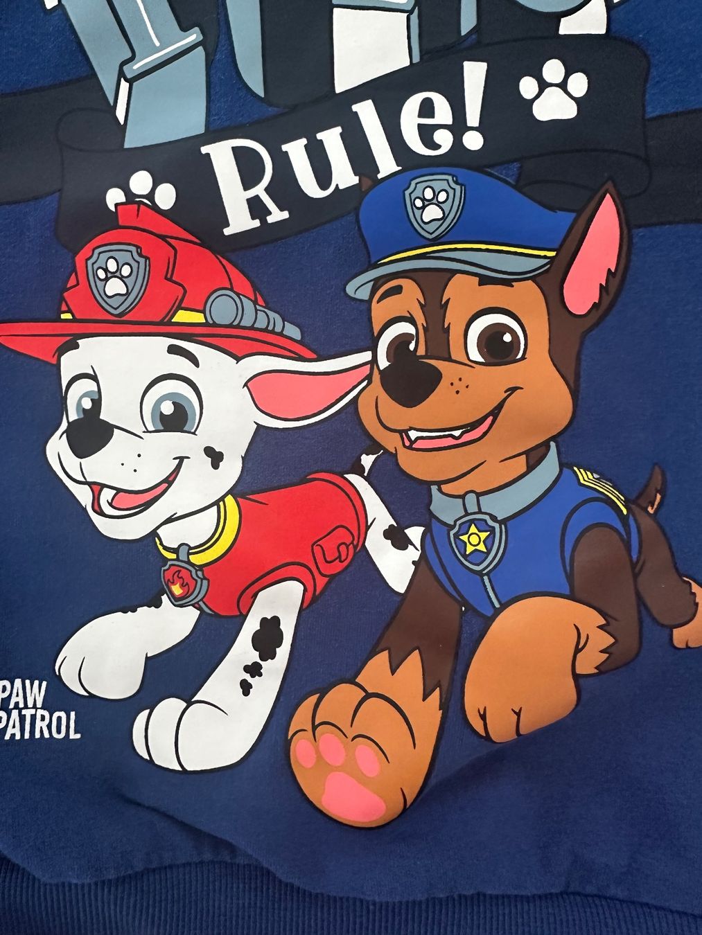 Name It Maglioni & Felpe: Paw Patrol Pullover, Name it, Grösse 92 – Nuovo (secondo la descrizione) da Unterägeri venduto da StefanGekko 3