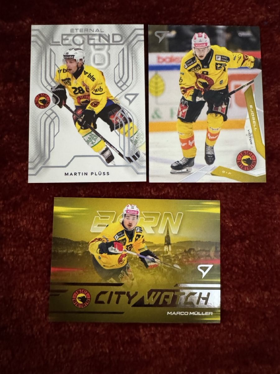 Sportzoo Cartes à collectionner: SC Bern Sammelkarten Set - Plüss, Ejdell & Müller – D'occasion à Oberlunkhofen par Liana_M86