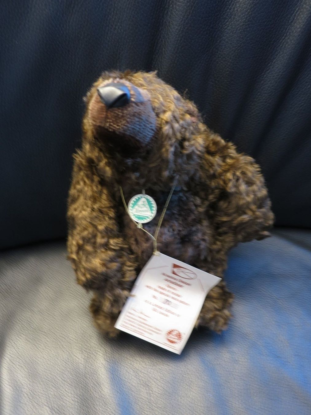 Giocattoli: Teddybär Coburg Teddy Bär Benno Nr. 80 – Nuovo (secondo la descrizione) da Mägenwil venduto da bieri24