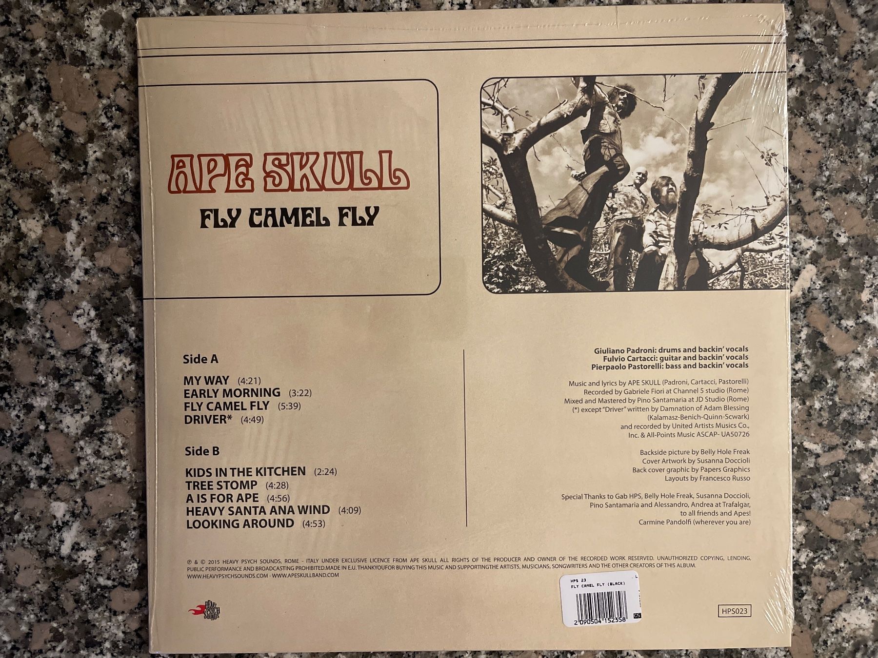 Schallplatten: S35/Ape Skull - Fly Camel Fly – Gebraucht aus Frutigen von Philippe_jsp 1