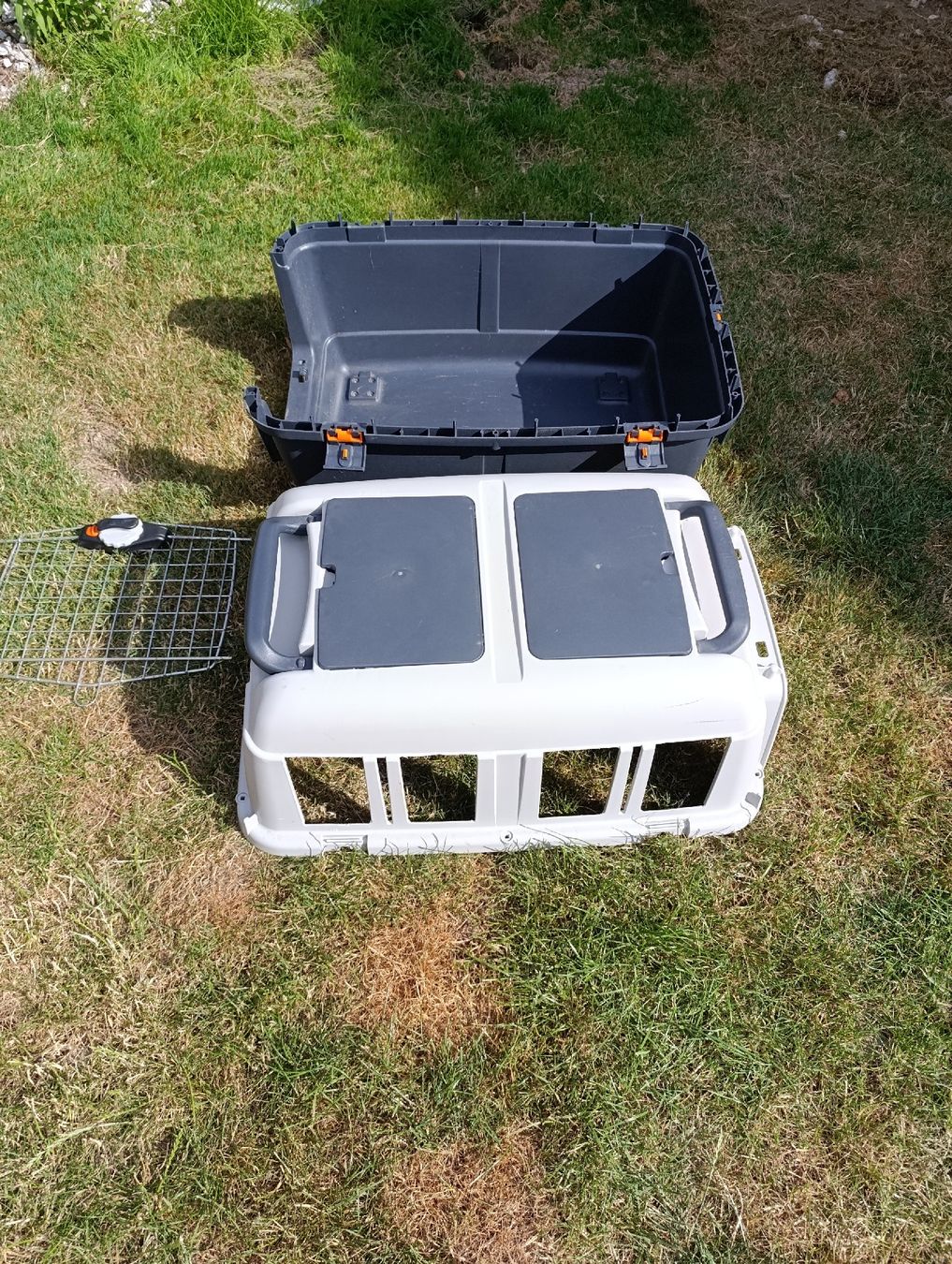 Gabbie, trasporto & Sicurezza: Caisse de transport pour chien – Usato da Avry-sur-Matran venduto da dav_nm5p 2