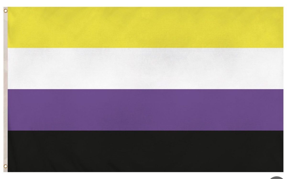 Bandiere: Non-Binary Pride Flagge, Neu & Originalverpackt (2x) – Nuovo e nell'imballaggio originale da Bazenheid venduto da jol_hzq6