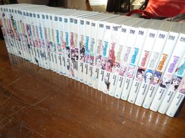 Série Manga Negima Intégrale Français
