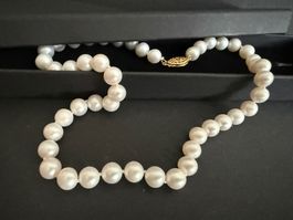 Echte Perlen Kette mit Gold Verschluss 585, 14K