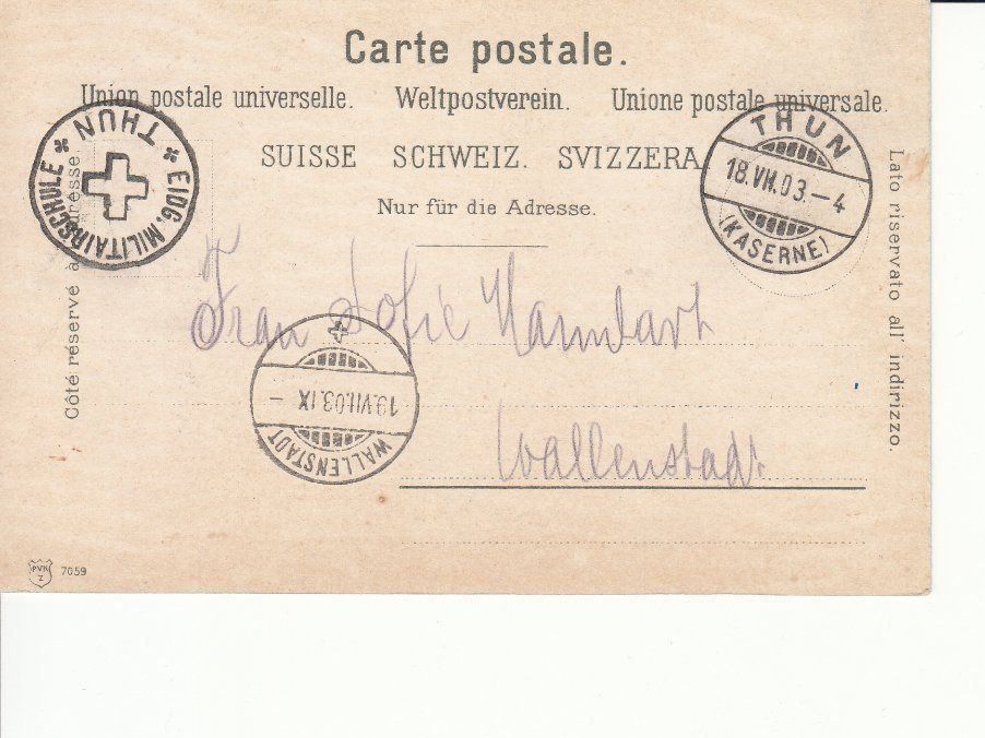 Cartoline postali: Grindelwald 1903 – Usato da Bürglen TG venduto da StampGraf 1