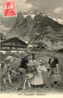 Grindelwald  BE   Bauersleute / Kuh  /  Wetterhorn   um 1912