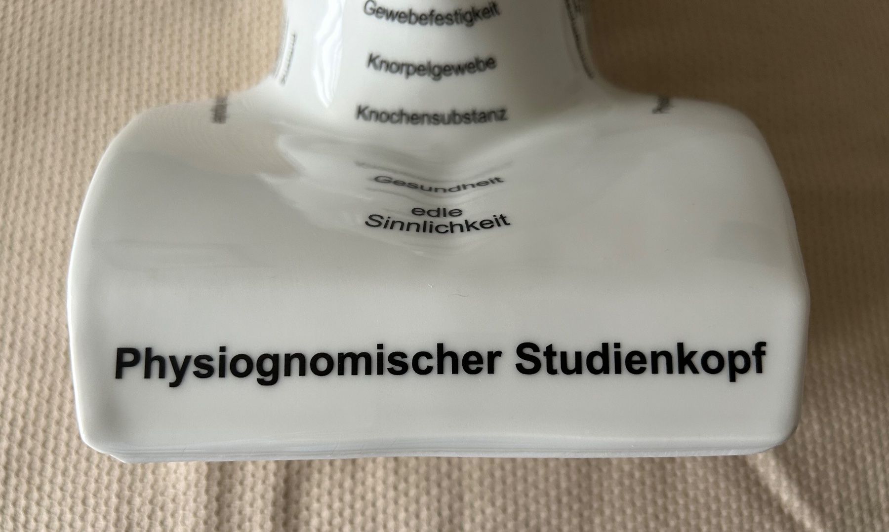 Sculture & Statue: Exklusiver Studienkopf der Psycho-Physiognomik nach C.Hutter – Nuovo e nell'imballaggio originale da Urtenen-Schönbühl venduto da framu07 6