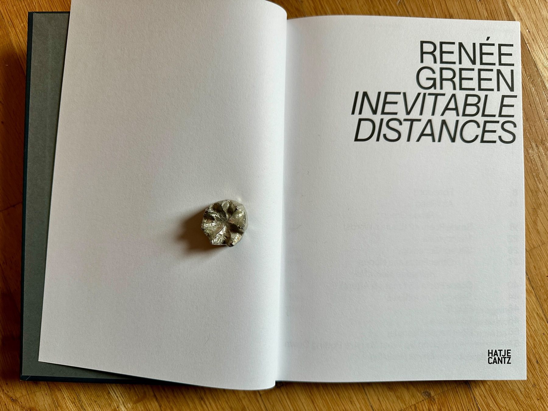 Libri: Renée Green: Inevitable Distances. – Usato da Zürich venduto da allp 1