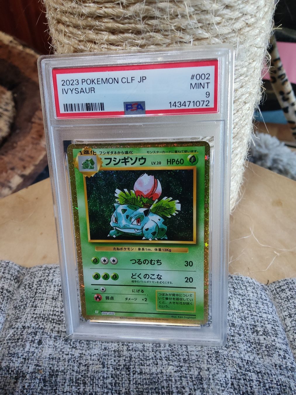 Pokémon Carte collezionabili: Pokémon PSA9 consecutive Chameleon wartortle Ivysaur Classic – Nuovo (secondo la descrizione) da Vezio venduto da 41181 3