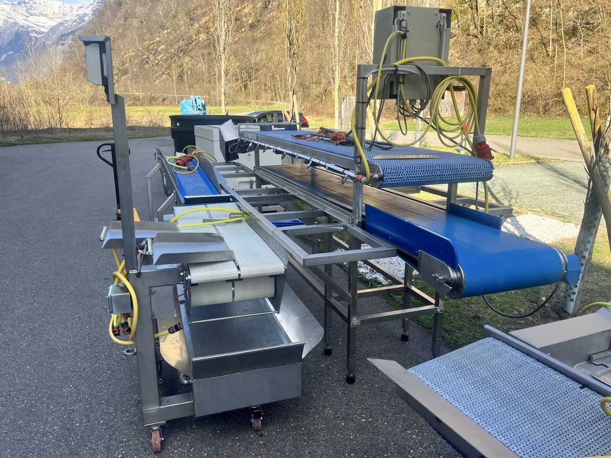 Altro per Ufficio & Commercio: Fisch Verarbeitungsanlage Processing Entgräter Enthäuter – Usato da Flüelen venduto da MyLimit-24000