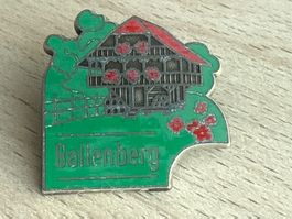 Pin Ballenberg
