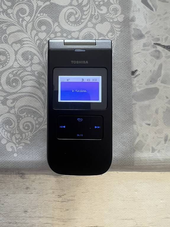 Libri: Cellulare Toshiba TS808 – Usato da Bellinzona venduto da Cry34 1