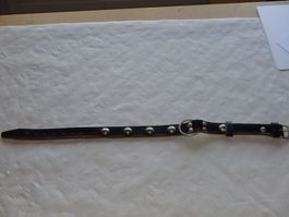 Hundehalsband Leder Nieten verstellbar Zustand neu