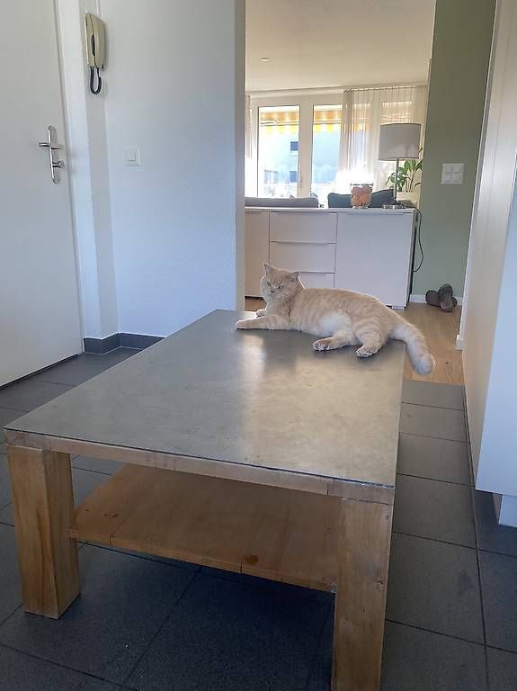 Tavoli: Wohnzimmer Tisch massiv  – Usato da Neuhausen venduto da Melkun1113