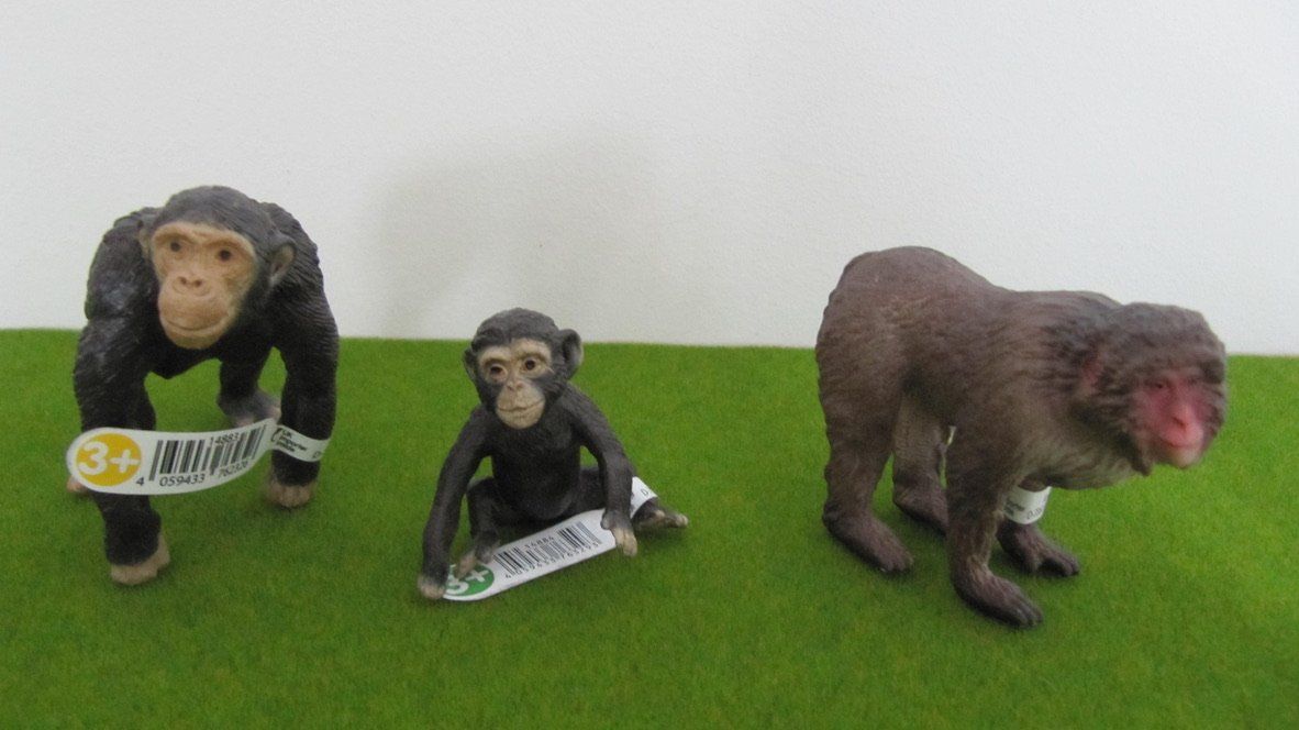Schleich Jouets: Schleich Affen,  ( Schimpansen + Makake ) – Neuf (Voir description) à Brunnen par Kiwiland1
