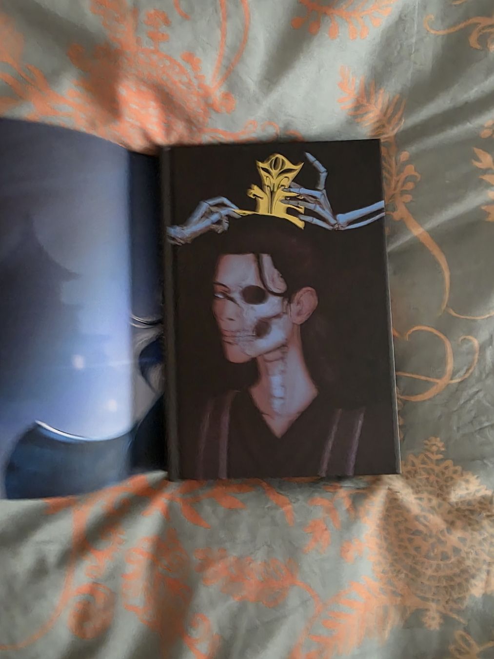 Libri: Buch Faecrate Deathly Fates – Nuovo (secondo la descrizione) da Erlen venduto da Noloka_green 2