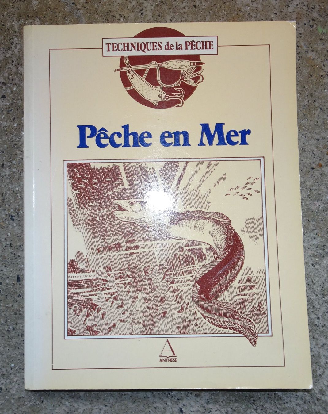 Libri: Livre "Pêche en Mer" - Techniques et astuces – Nuovo (secondo la descrizione) da Châtelaine venduto da fil_7lqg