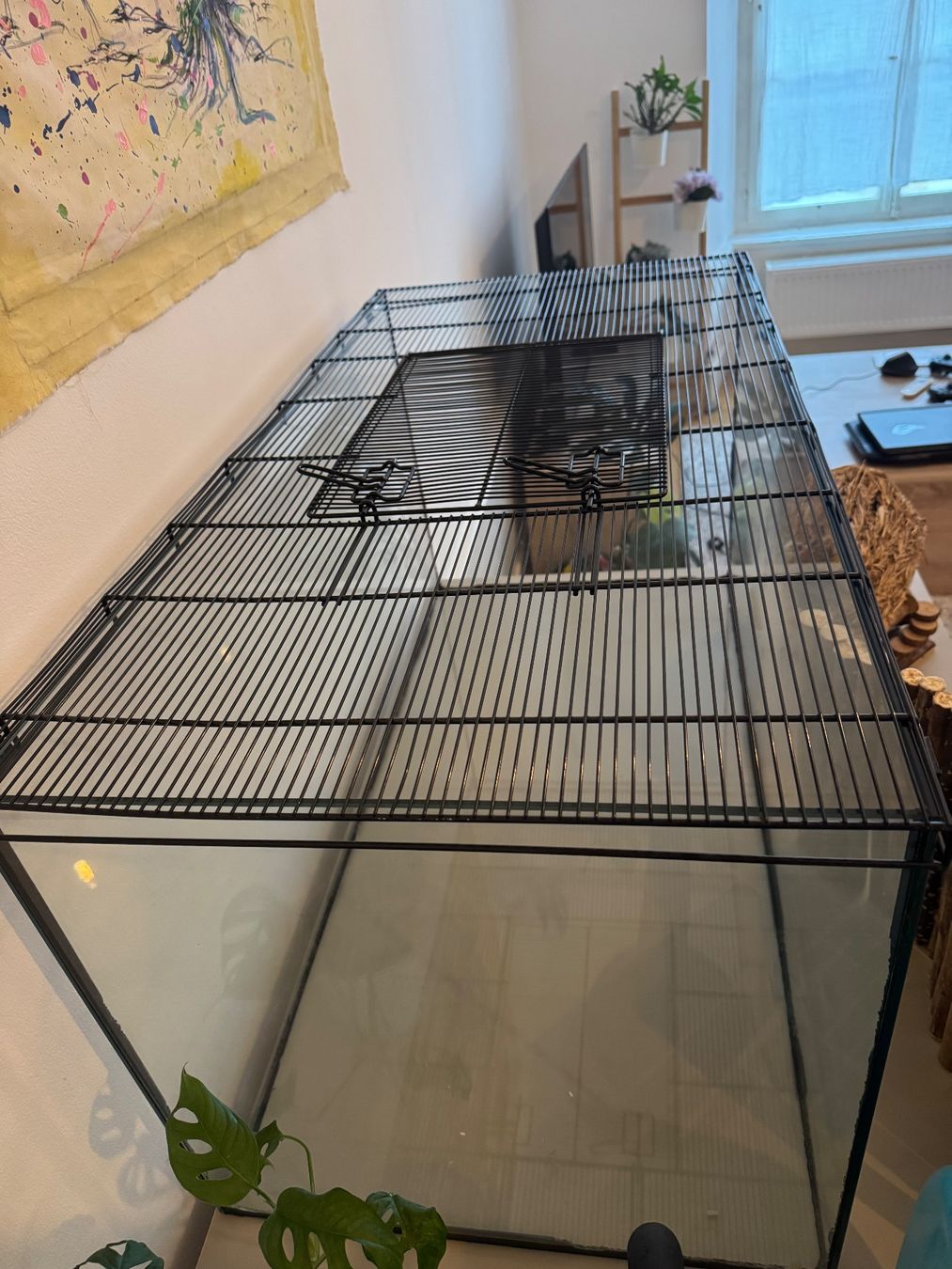 Terrariums: Cage/terrarium hamster – D'occasion à Porrentruy par jac_7zzy 2