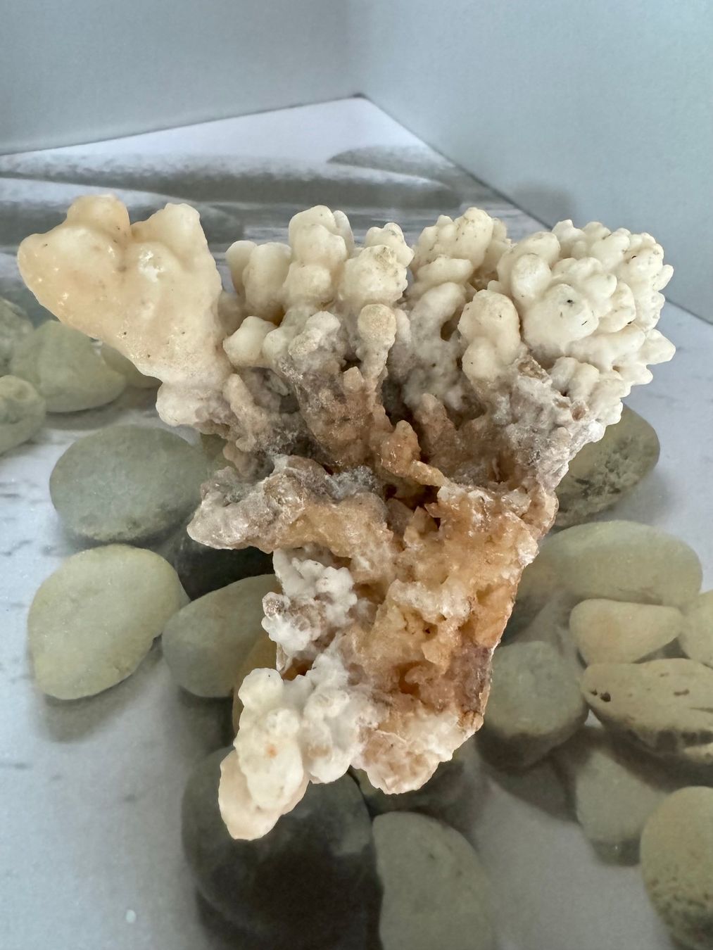 Mineralien & Heilsteine: Calcit-Stufe Korallenform – Neu (gemäss Beschreibung) aus Biberist von Steine 2