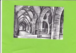 Basel-Kreuzgang im Münster