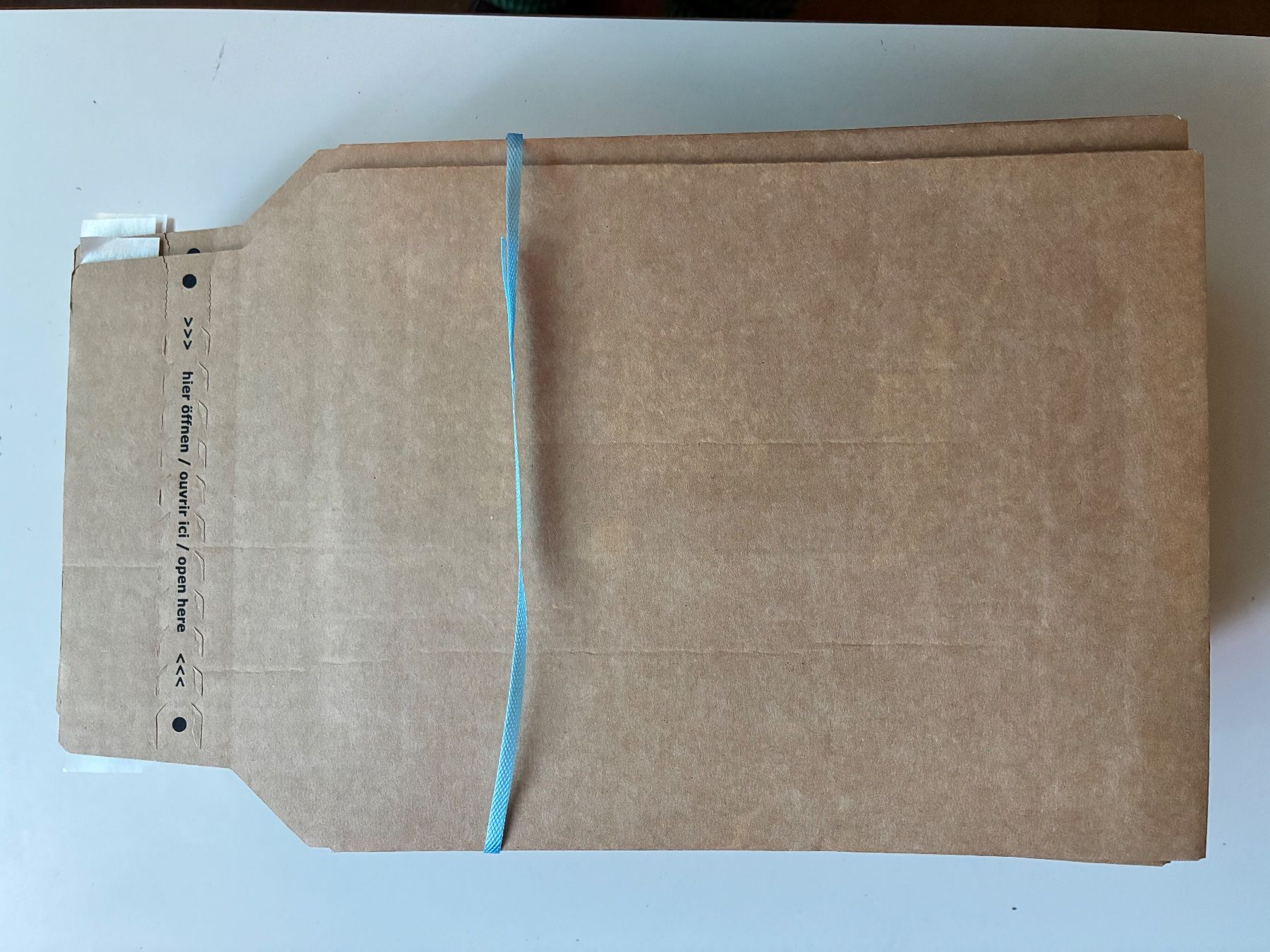 Buste & buste per spedizione: 100 Versandtaschen – Nuovo (secondo la descrizione) da Hinterforst venduto da Gartenweib 1
