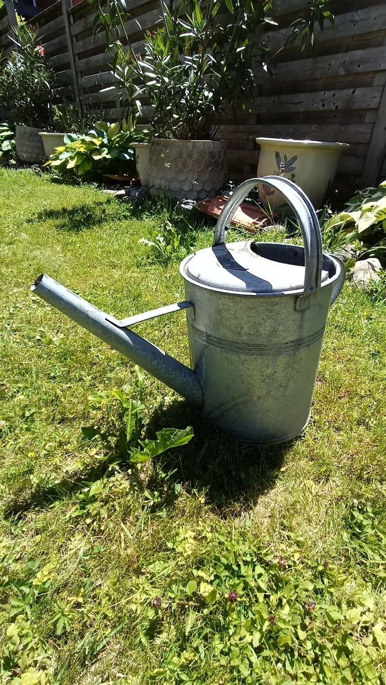 Annaffiatura & Irrigazione: Antike Metallspritzkanne – Usato da Steffisburg venduto da tut_s28q 1