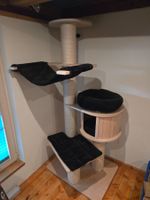 Katzenbaum