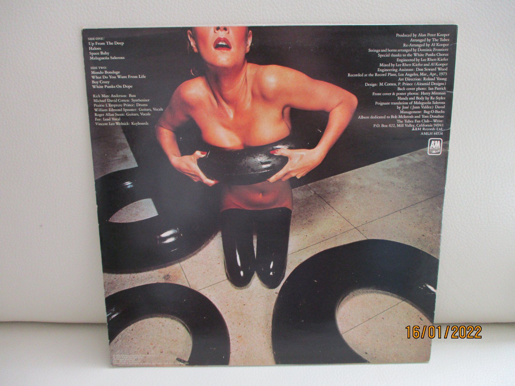 Dischi in vinile: The Tubes – The Tubes – Usato da Liestal venduto da Disc-Point 1