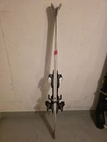 Stöckli Laser SC Worldcup Ski (inkl. Salomon Z12 Bindung)