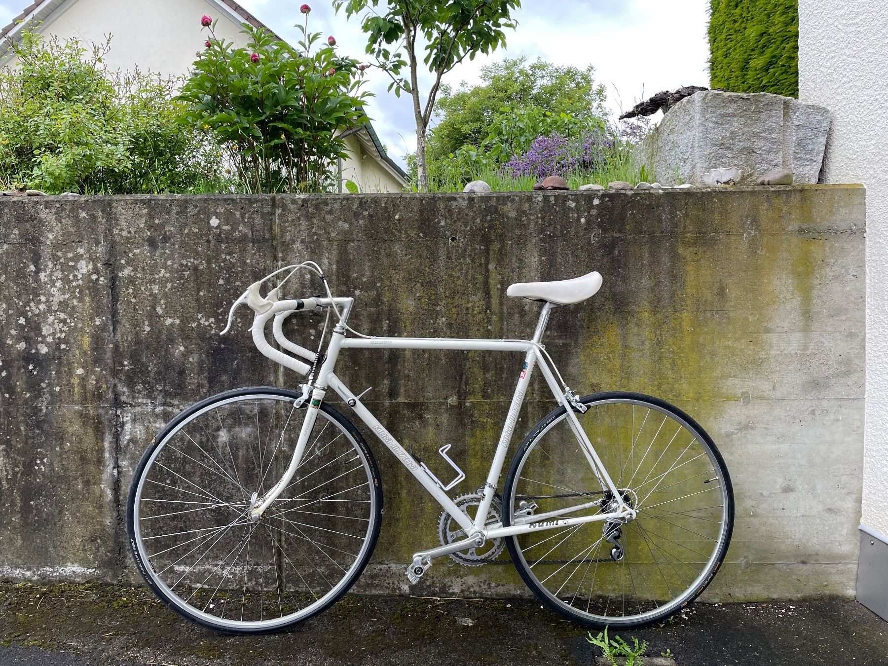 Koga Biciclette: Koga-Miyata Rennvelo – Usato da Salmsach venduto da Wisa10