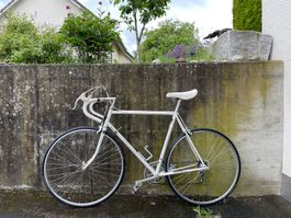 Koga-Miyata Rennvelo
