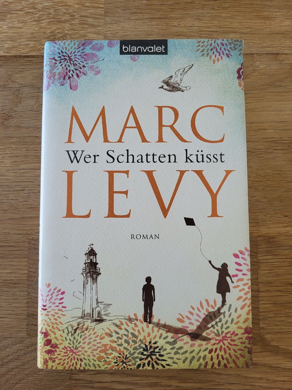 Libri: Marc Levy "Wer Schatten küsst" – Nuovo (secondo la descrizione) da Amriswil venduto da noe_z7wn
