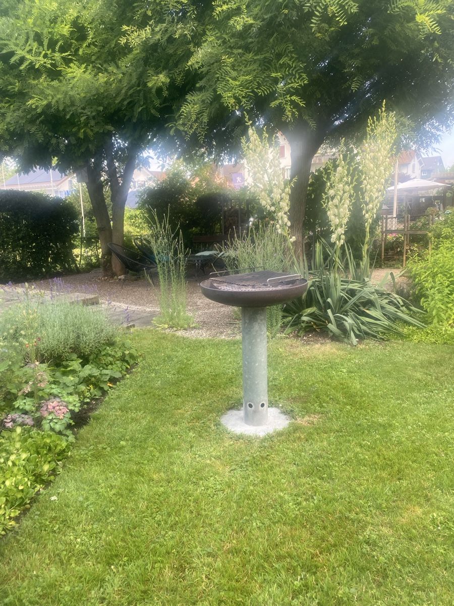 Grills: Feuerstelle und Grill Olymp – Gebraucht aus Gossau SG von Conrado1 2