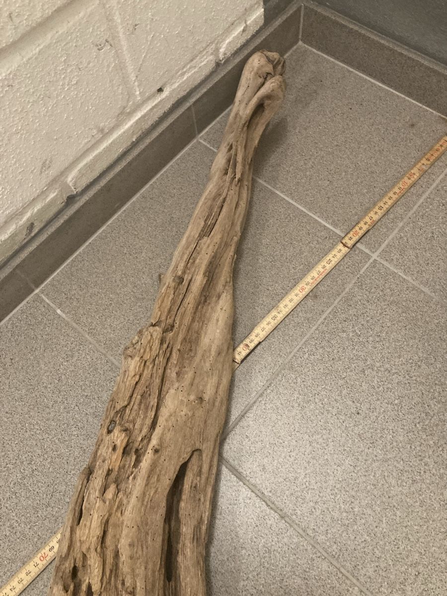 Holzartikel: Schwemmholz – Gebraucht aus Staad SG von gab_7dr9 4