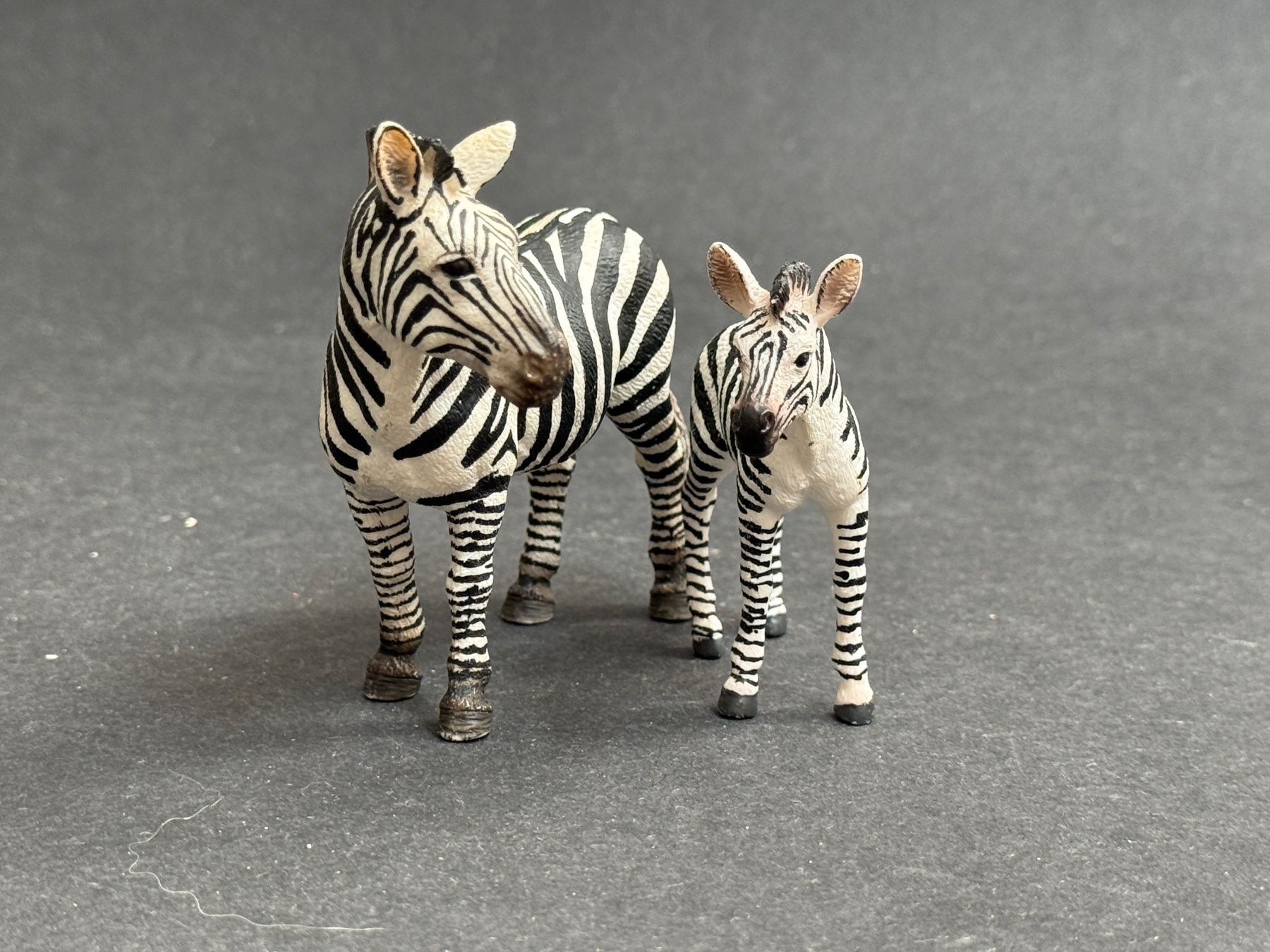 Schleich Statuette: Schleich Zebra Stute und Fohlen – Usato da Ennetbaden venduto da mapa05 4