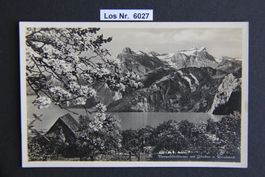 Ansichtskarte Vierwaldstättersee 20iger Jahre       Los 6027