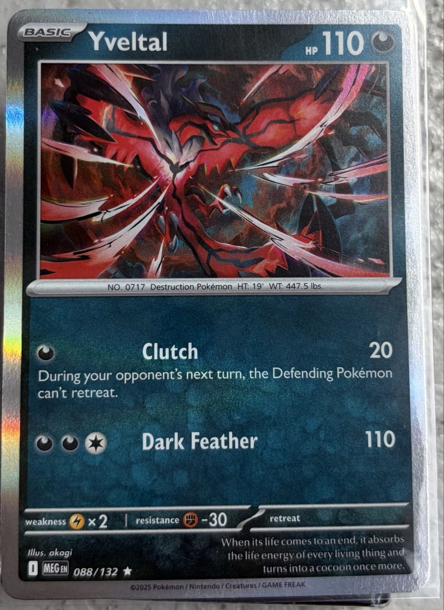 Pokémon Carte collezionabili: Pokemon Yveltal Karte 088/132 Mega Evolution Holo – Nuovo (secondo la descrizione) da Galgenen venduto da Miachelle 1