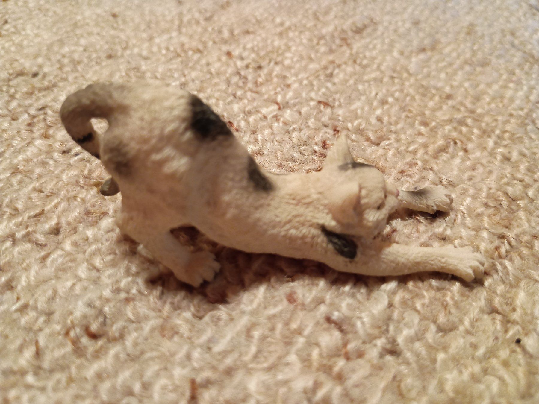 Schleich Figuren: Schleich 13677 Kater/Katze, streckend, 2010 – Neu (gemäss Beschreibung) aus Buchs AG von ReaNaTsch 1