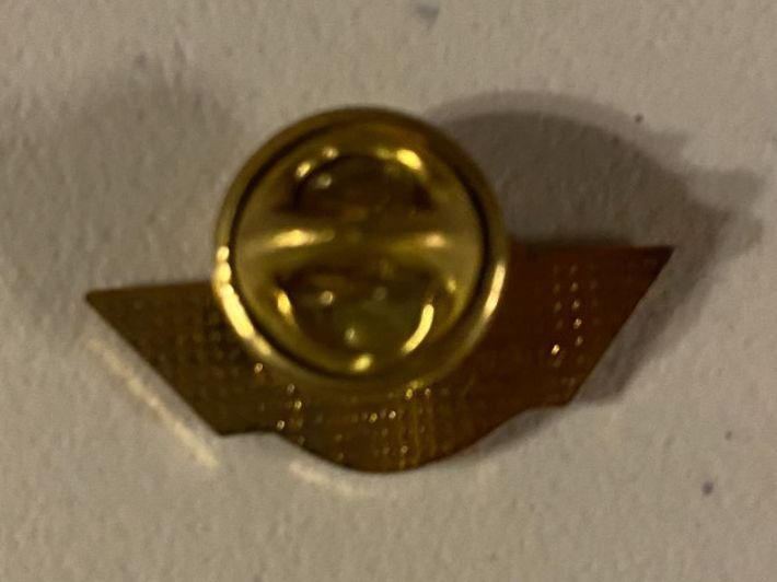 Schweizer Armee Placchette & Badge: Pins - FA18 - Votation  Non/Nein – Usato da Prez-vers-Noréaz venduto da Jchris 1