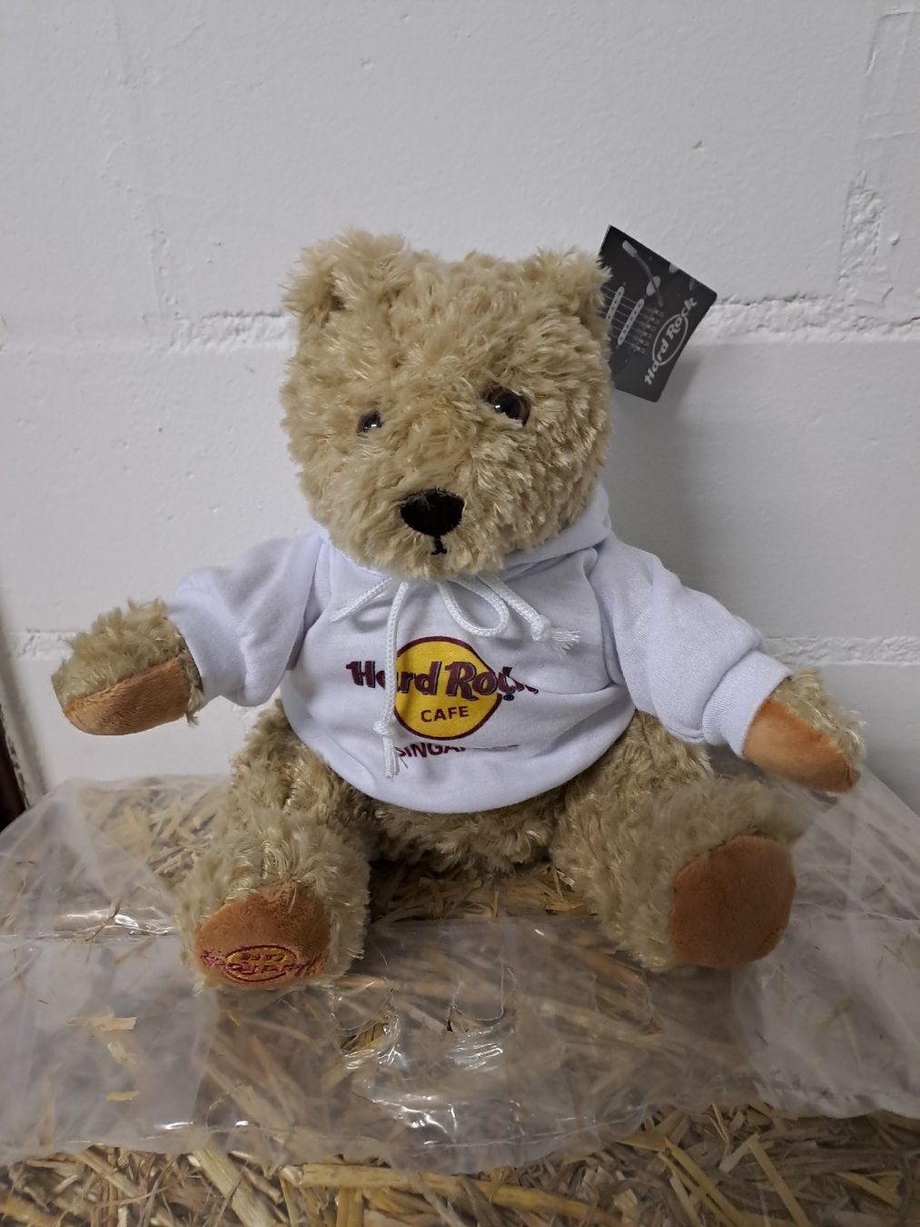 Teddy Hermann Giocattoli: Süsser Hard Rock Cafe Teddybär – Nuovo e nell'imballaggio originale da Fischbach-Göslikon venduto da Totsch