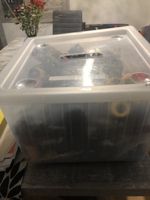 Scatola Contenitore piena di auto giocattolo- Perfetta!