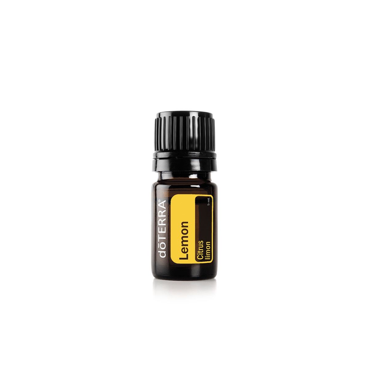 Doterra Ätherische Öle: doTERRA Einführungs-Set (Introductory Kit) NEU!!! – Neu und originalverpackt aus Olten von  3