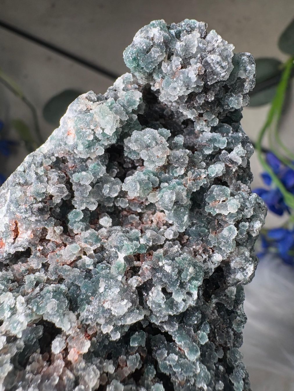 Minerali & Pietre curative: Grüner Chalcedon-Stalaktit – Nuovo (secondo la descrizione) da Neuheim venduto da m.hald 1